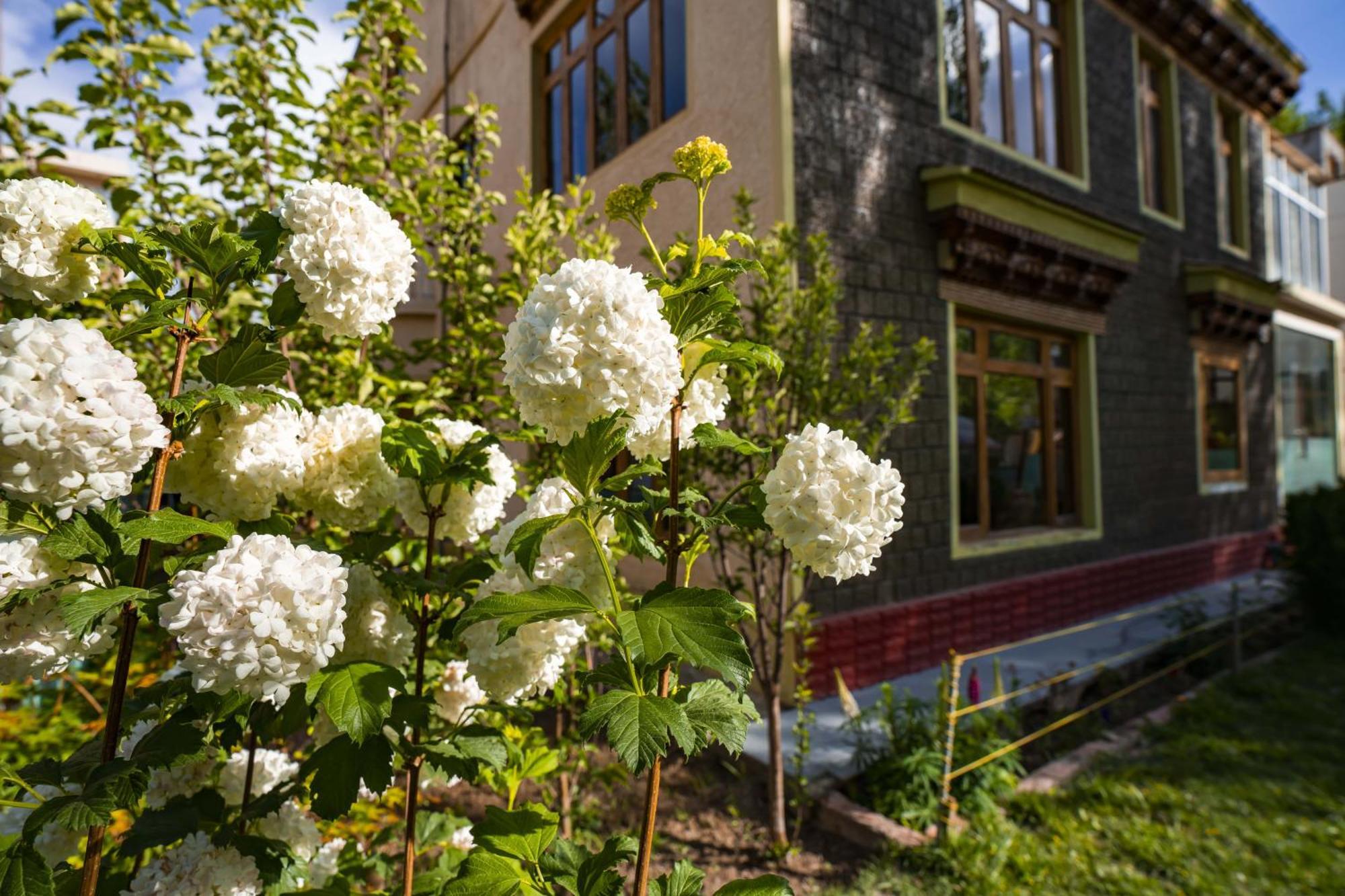 Rainbow Holiday Home Leh Exterior photo